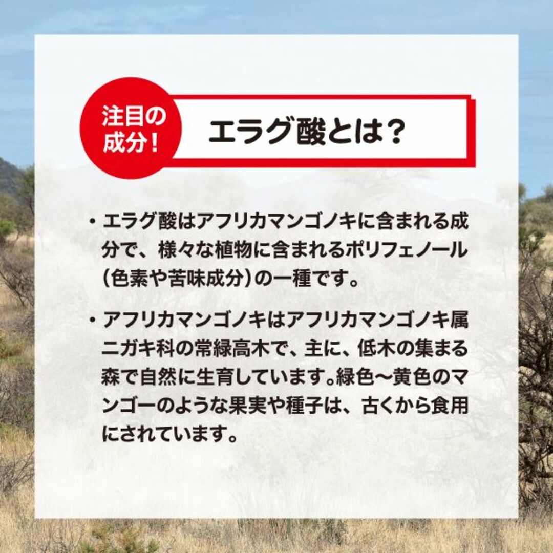 AFC(エーエフシー)の【機能性表示食品】AFC 肥満気味の方の脂肪減少をサポート 30日分 1袋 コスメ/美容のダイエット(ダイエット食品)の商品写真