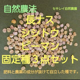 固定種の長ナス・シシトウ・ピーマンの３点セット(野菜)