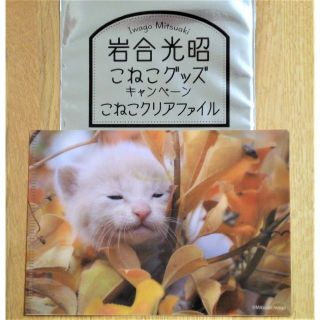 ベローチェ こねこクリアファイル No.6【新品未使用・匿名配送】(ファイル/バインダー)