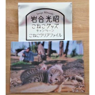 ベローチェ こねこクリアファイル No.8【新品未使用・匿名配送】(ファイル/バインダー)