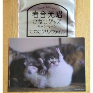 ベローチェ こねこクリアファイル No.10【新品未使用・匿名配送】(ファイル/バインダー)