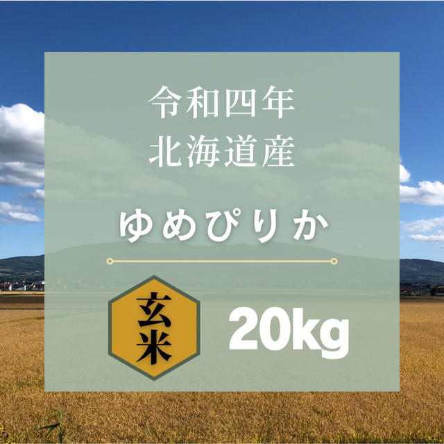 《令和4年産 》北海道産ゆめぴりか 20kgブレンドなし