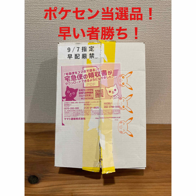 新年の贈り物 ポケモンカード イーブイヒーローズbox ポケモンセンター