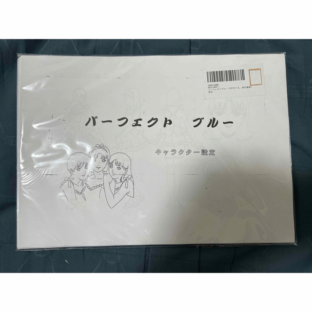 パーフェクトブルー PERFECT BLUE 設定資料 制作資料 【62枚】 エンタメ/ホビーのアニメグッズ(その他)の商品写真