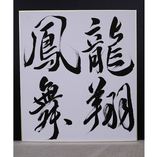 書道作品【龍翔鳳舞】色紙 輝い aleksandra-urman.ch