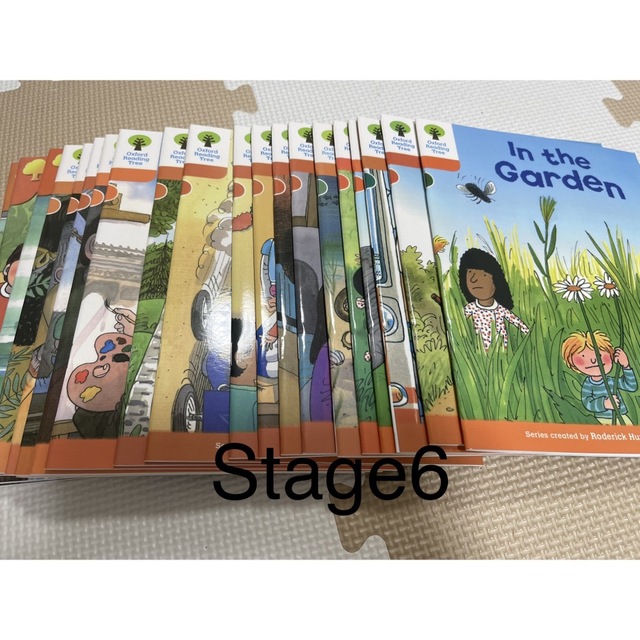 Oxford Reading Tree  (ORT) Stage6