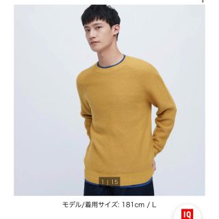 ユニクロ(UNIQLO)のユニクロ 商品番号453761  3Dクルーネックセーター（長袖）(ニット/セーター)