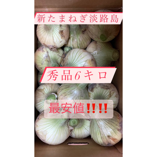 新たまねぎ　淡路島　6キロ(野菜)