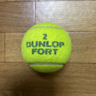 ダンロップ(DUNLOP)のダンロップテニスボール　1個    送料無料　２番(その他)