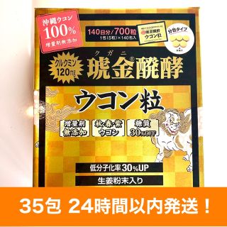 クガニ醗酵ウコン粒　35日分★24時間以内発送！(その他)