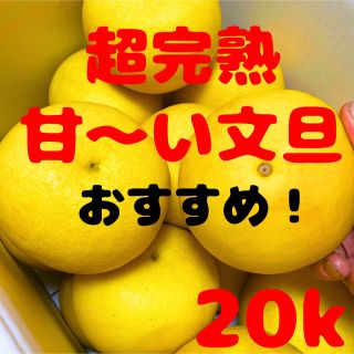 めっちゃ美味し〜い文旦　20キロ٩( 'ω' )و01(フルーツ)