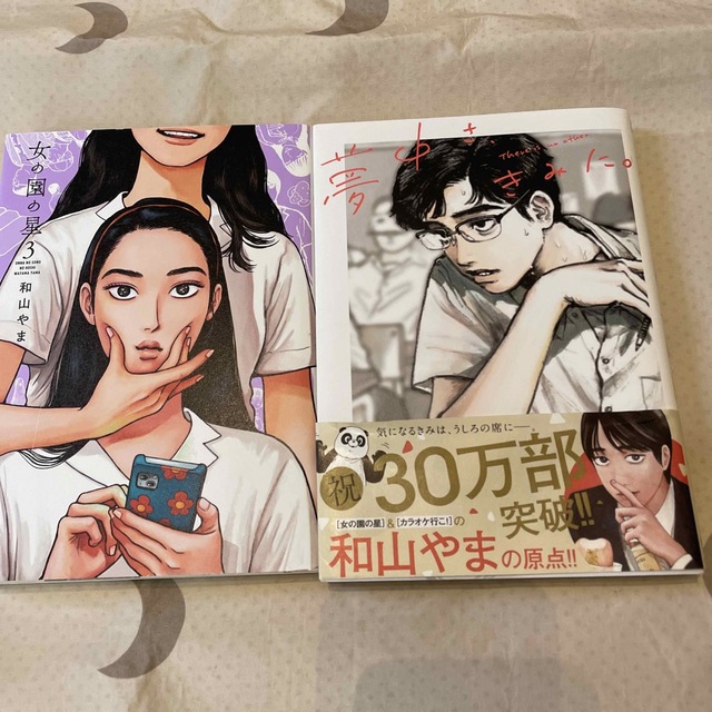 和山やま　漫画 エンタメ/ホビーの漫画(女性漫画)の商品写真