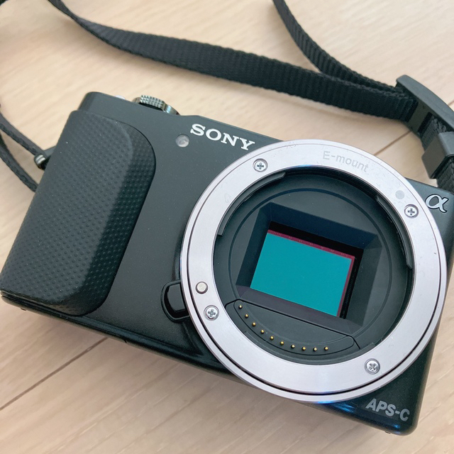 sony ミラーレス　本体のみ