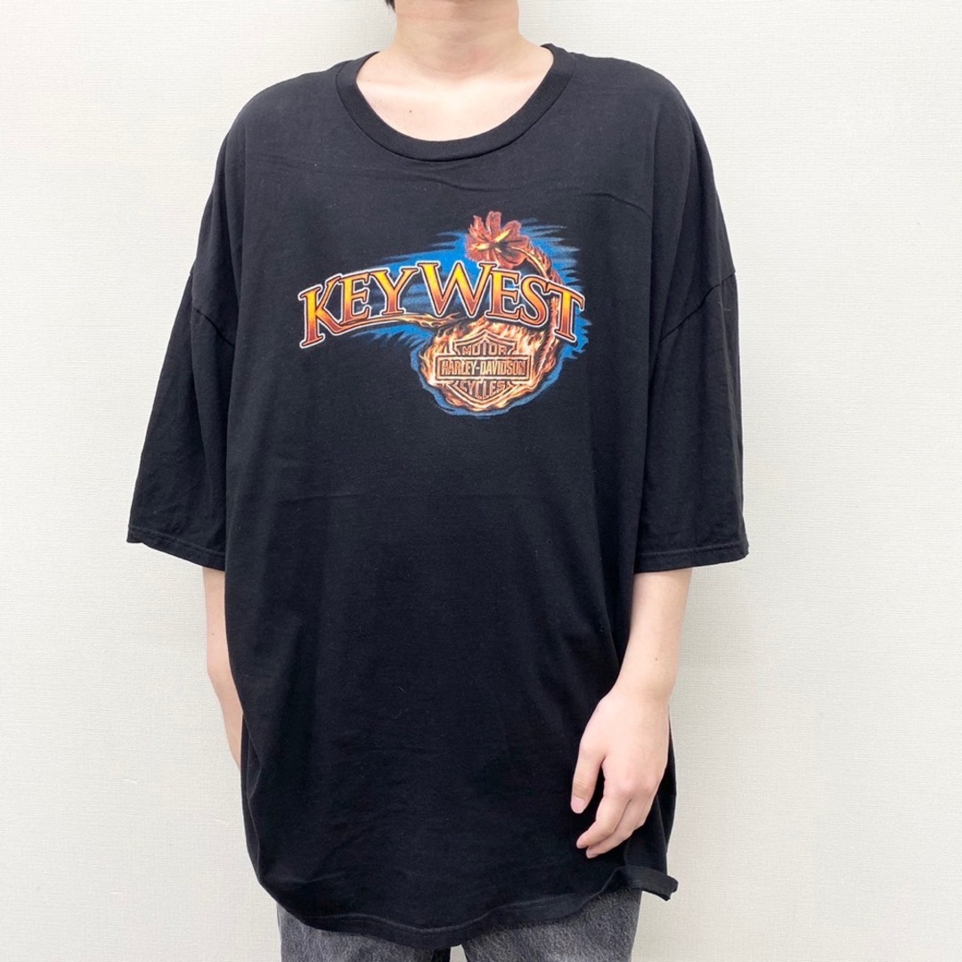 Hurley - 【中古】 ハーレー ダビッドソン HARLEY-DAVIDSON Tシャツ