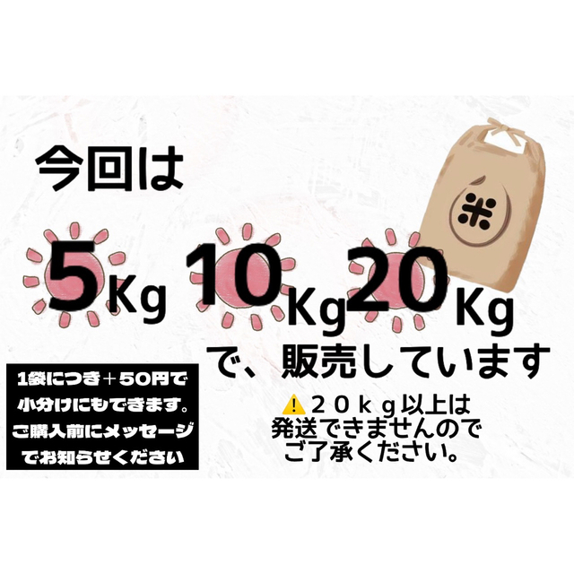 20kg　玄米　新米】令和4年産　ゆめぴりか　北海道米　米/穀物