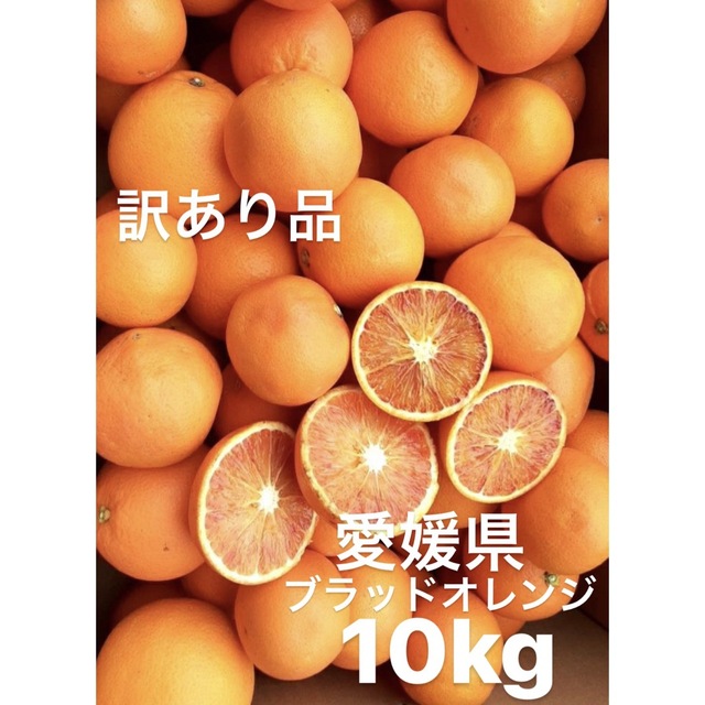 訳あり品　愛媛県産　ブラッドオレンジ　柑橘　10kg 食品/飲料/酒の食品(フルーツ)の商品写真