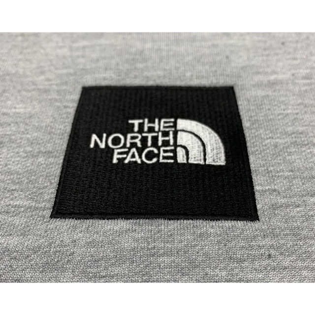 THE NORTH FACE HEATER LOGO BIG HOODIE 2