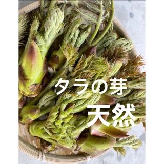 ★採れたて新鮮のタラの芽★約140g★(野菜)