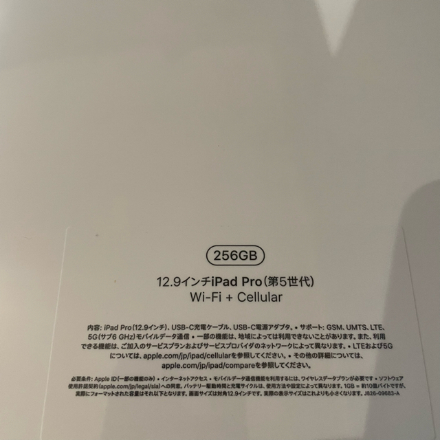 apple iPad Pro 12.9 第5世代　256GB cellular
