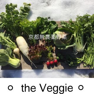 京都無農薬お野菜セット(野菜)
