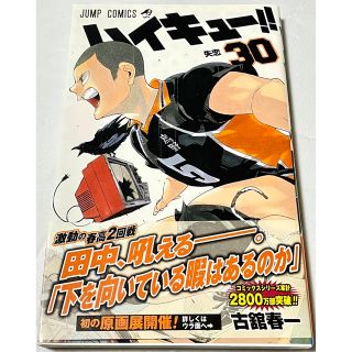 集英社 - ハイキュー‼︎ 30巻 【単行本】の通販 by たつ@プロフ必読 ...