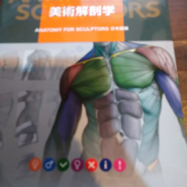 スカルプターのための美術解剖学 ＡＮＡＴＯＭＹ　ＦＯＲ　ＳＣＵＬＰＴＯＲＳ日本語BOOK