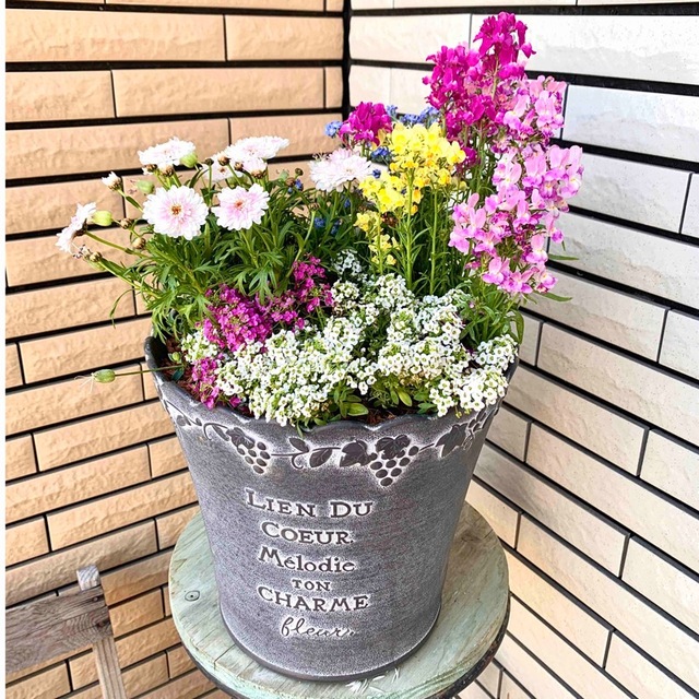 上質な鉢に豪華な寄せ植え♪ ハンドメイドのフラワー/ガーデン(プランター)の商品写真