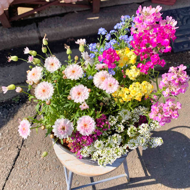 上質な鉢に豪華な寄せ植え♪ ハンドメイドのフラワー/ガーデン(プランター)の商品写真