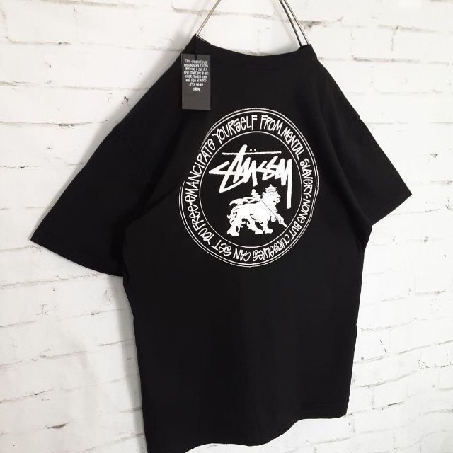 OLD STUSSY  超激レア ラスタ ライオン ステューシー