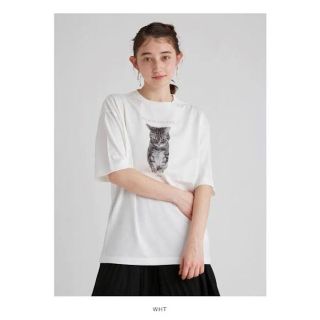 ファーファー(fur fur)のFURFUR Tシャツ(Tシャツ(半袖/袖なし))