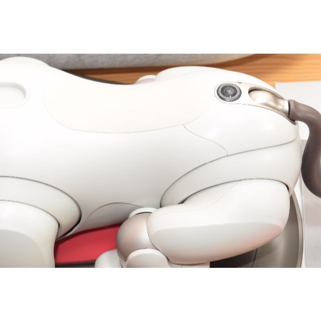 SONY ソニー ERS-1000 aibo アイボ