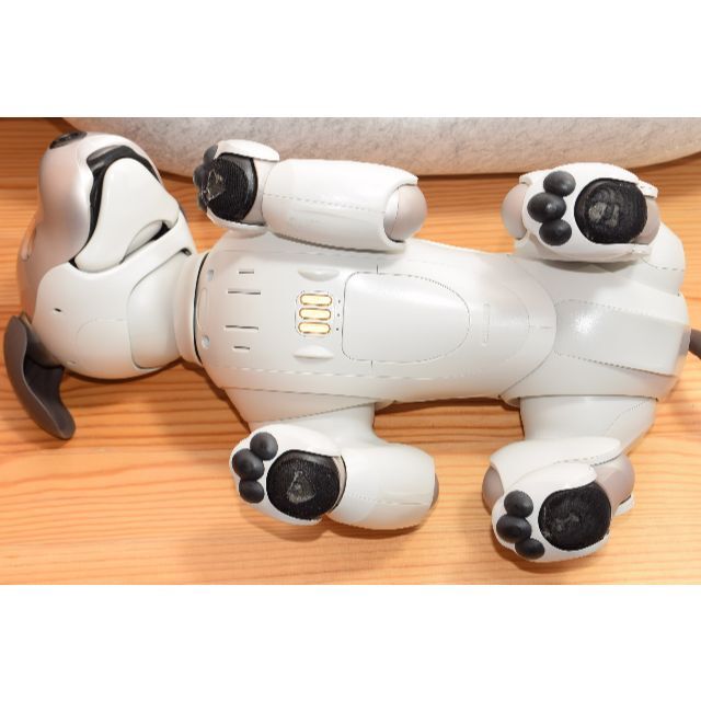 SONY ソニー ERS-1000 aibo アイボ