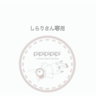 しらりさん専用出品(ピンク150)(その他)