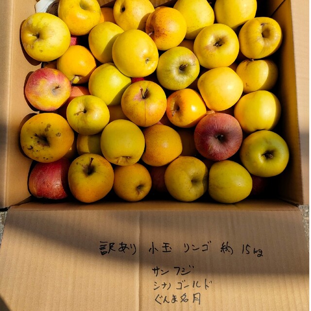 本州、四国宛発送 訳あり小玉詰め合わせ約15キロ 食品/飲料/酒の食品(フルーツ)の商品写真