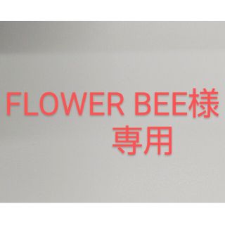 セガ(SEGA)の【FLOWER BEE様 専用】3枚セット(その他)