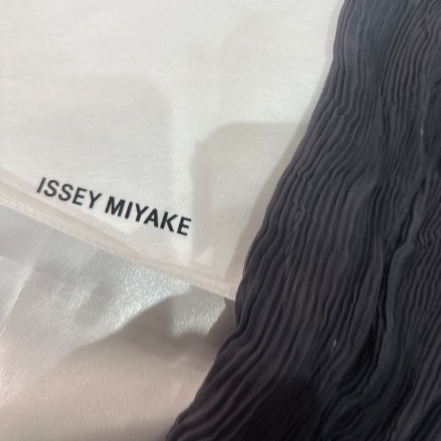 ISSEY MIYAKE(イッセイミヤケ)のイッセイミヤケ　シフォントップスアンサンブル長袖新品（1133） レディースのトップス(アンサンブル)の商品写真