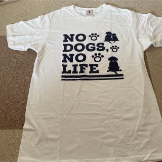 ラブラ　新品 ＬＴシャツ(Tシャツ(半袖/袖なし))