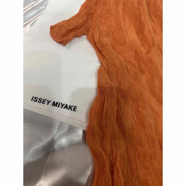 ISSEY MIYAKE(イッセイミヤケ)のイッセイミヤケ　シフォントップス半袖新品（1135） レディースのトップス(カットソー(半袖/袖なし))の商品写真