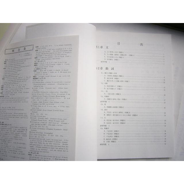 信用 シニア 英文法Ⅲ 詳説編 指導書