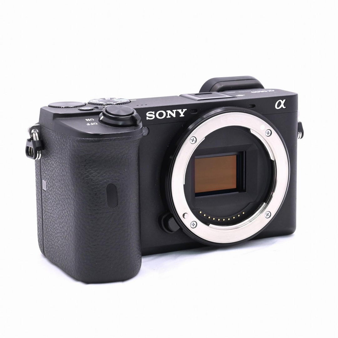 SONY - SONY α6600 ボディ ILCE-6600の通販 by Flagship Camera ...