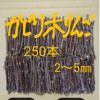 かじり木りんご 250本 極細(小動物)