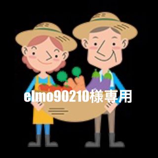 elmo90210様専用 淡路島産新玉ねぎ3kg 貴錦 農薬不使用 高糖度 夢玉(野菜)