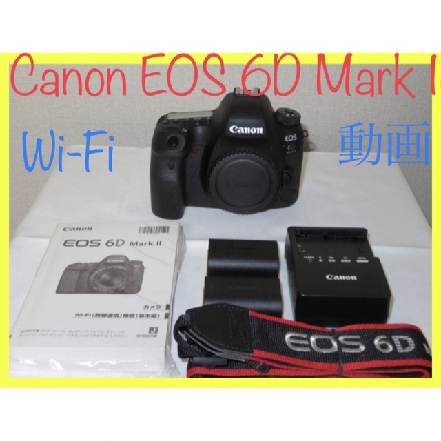 動作確認済【キャノン】Canon EOS 6D Mark II ボディ6DMK2 【送料無料