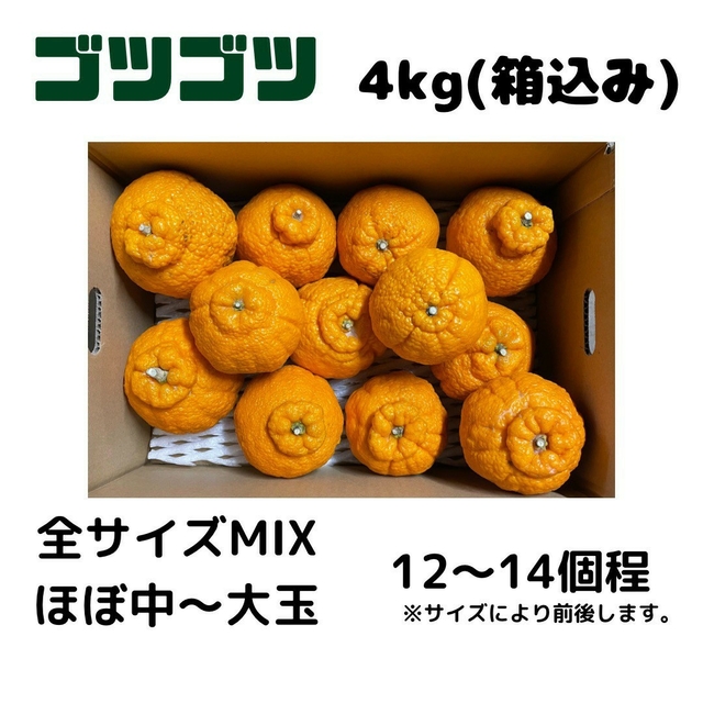 2箱セット 不知火 ゴツゴツ良品4kg(デコポン) 食品/飲料/酒の食品(フルーツ)の商品写真