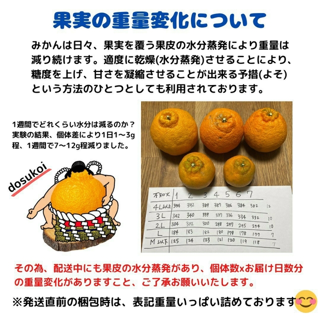 2箱セット 不知火 ゴツゴツ良品4kg(デコポン) 食品/飲料/酒の食品(フルーツ)の商品写真