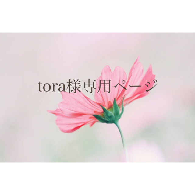 tora様専用ページ | フリマアプリ ラクマ