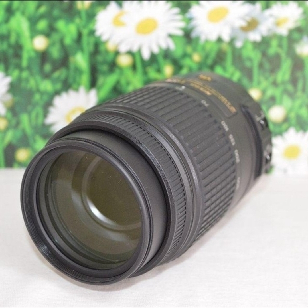 【美品】Nikon AF-S 55-300mm F4-5.6 G ED VR