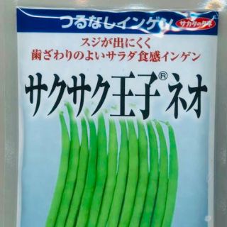 つるなしインゲン 「サクサク王子®ネオ」 野菜種15粒(野菜)