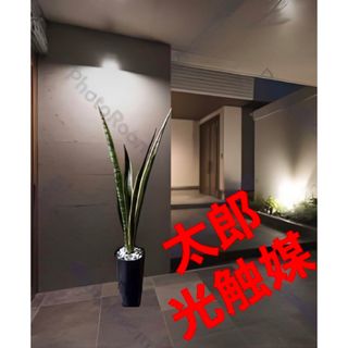 光触媒　人工観葉植物　ウォールグリーン　フェイク　フラワー　サンスベリア1000(置物)