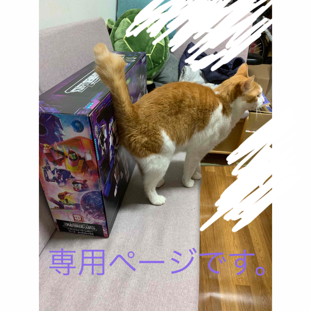 専用ページです。 その他のその他(その他)の商品写真